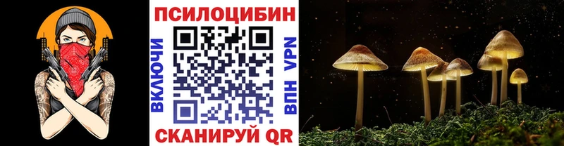 Галлюциногенные грибы Magic Shrooms  где купить наркоту  Обь 